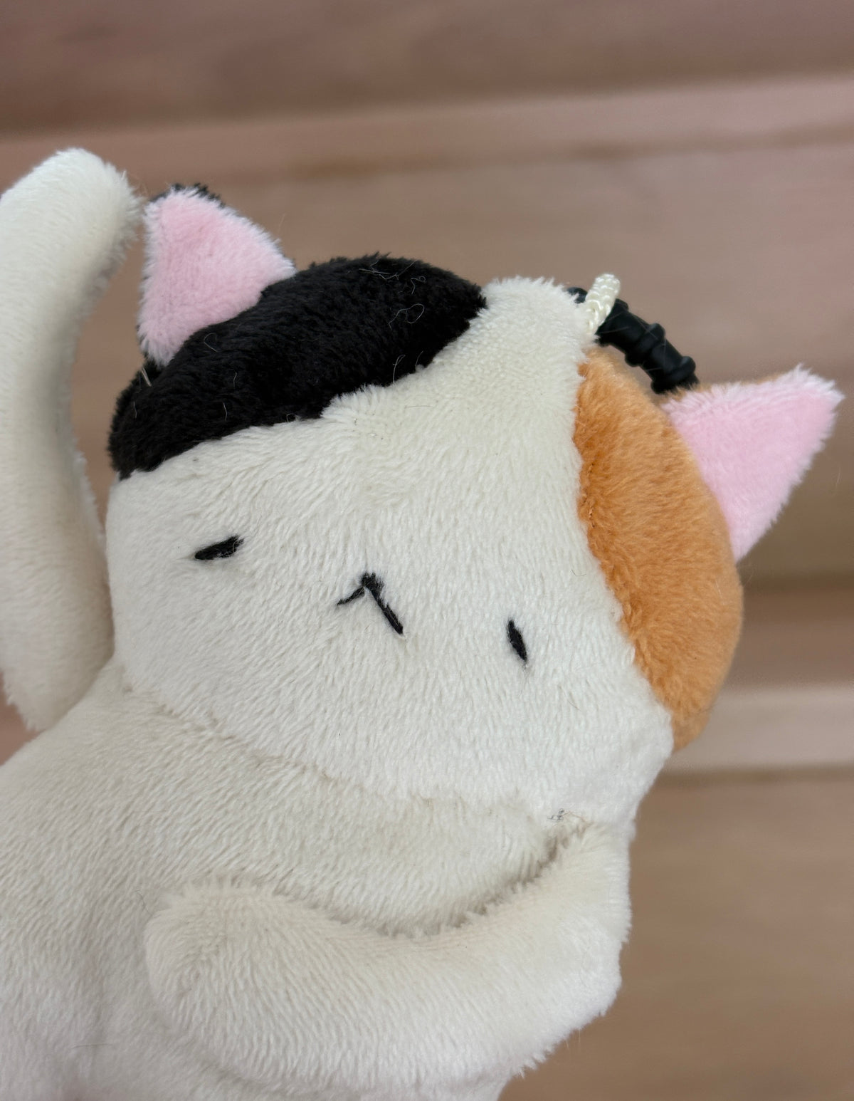 Kucing Ngaso