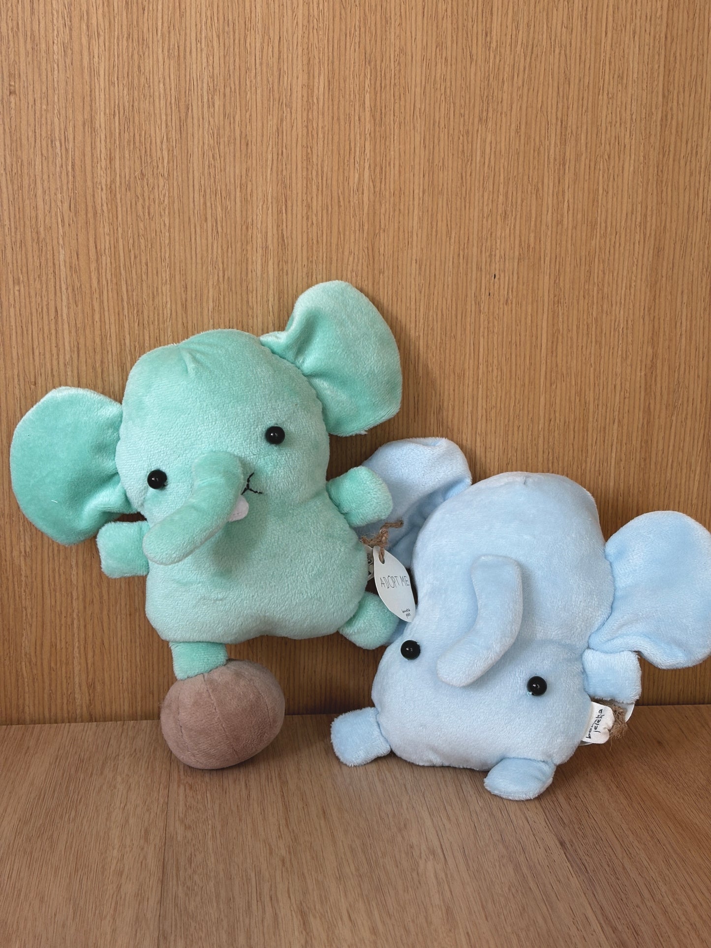 Gajah Sirkus