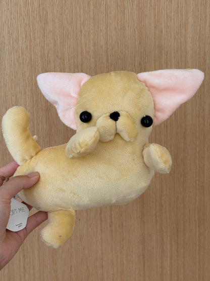 Chihuahua