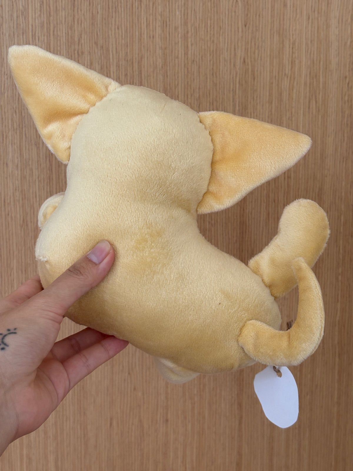 Chihuahua