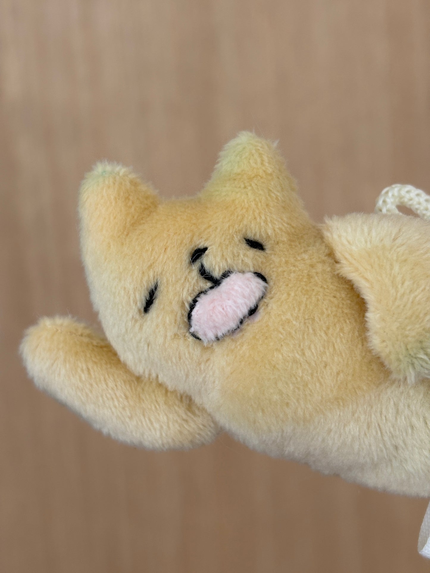 Sleepy Yellow Cat