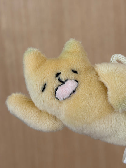 Sleepy Yellow Cat