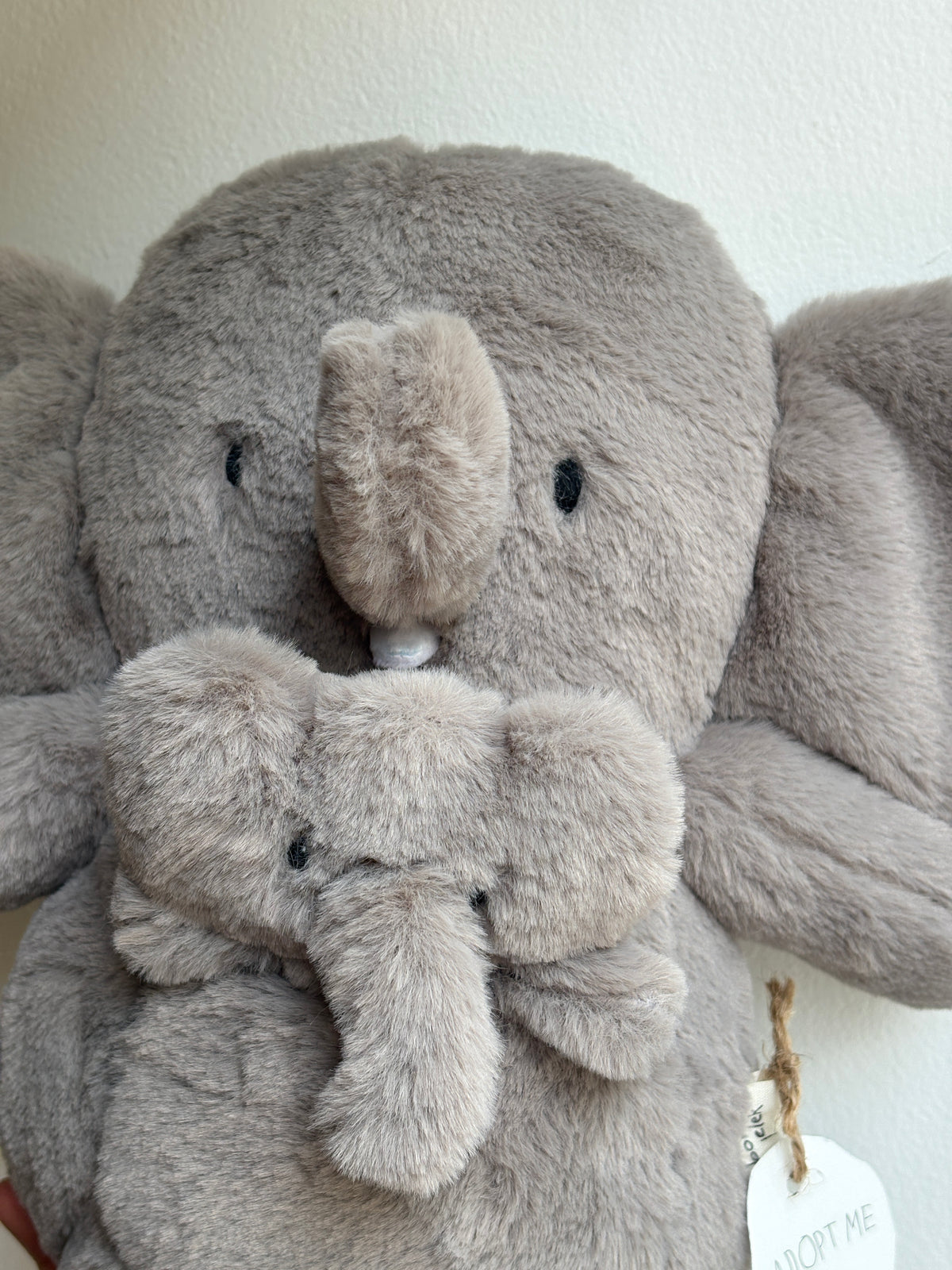 Mama & Bayi Gajah