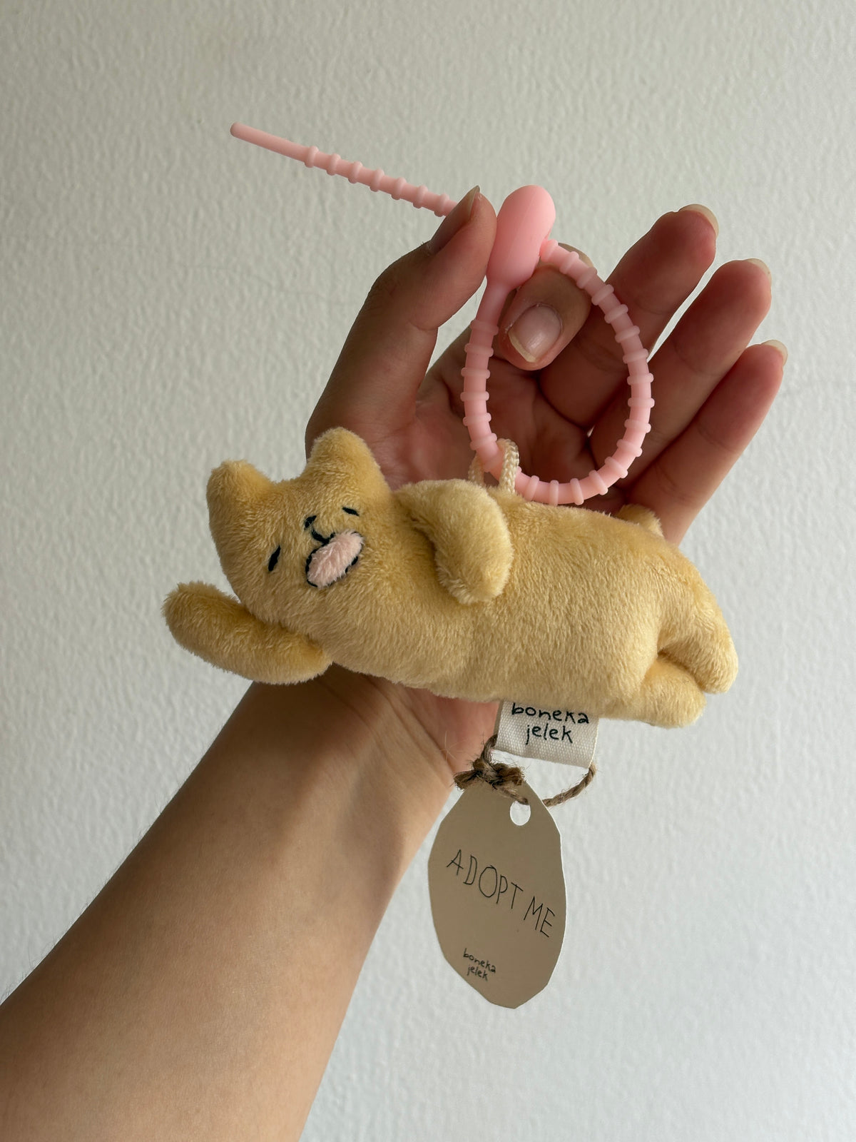 Sleepy Yellow Cat