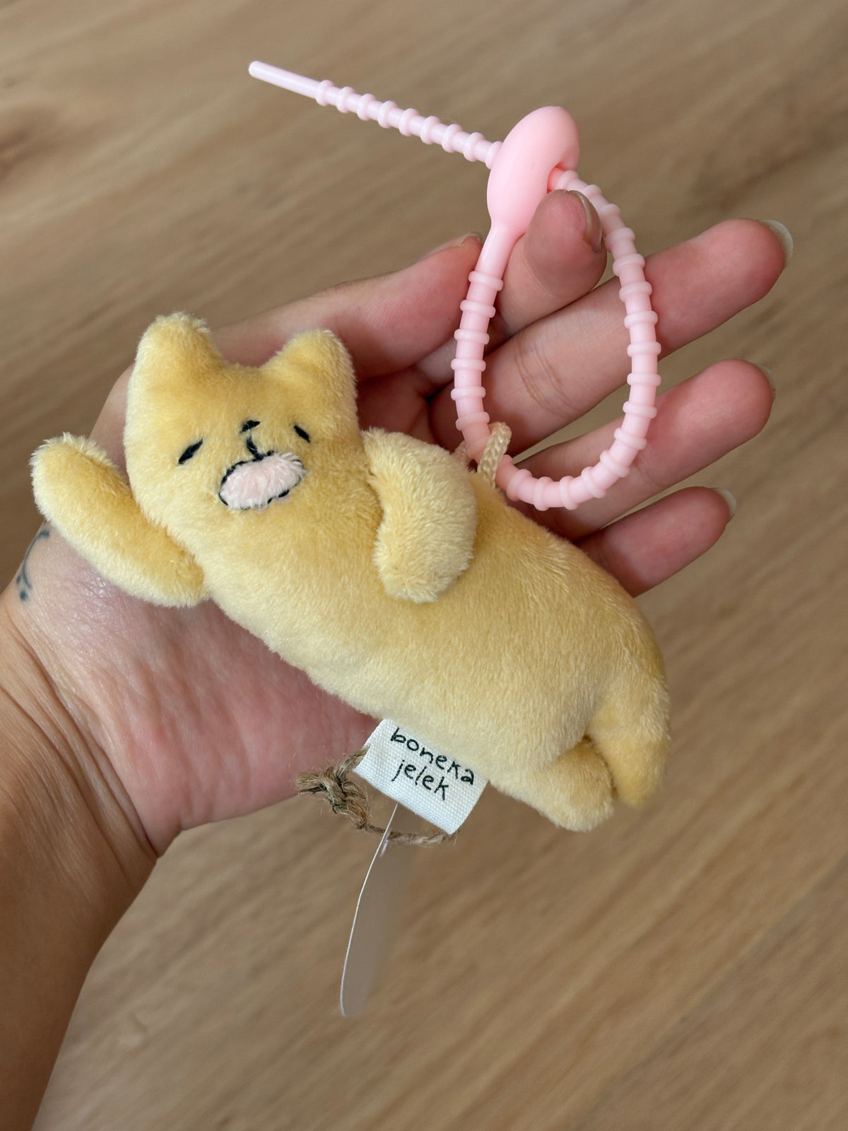Sleepy Yellow Cat