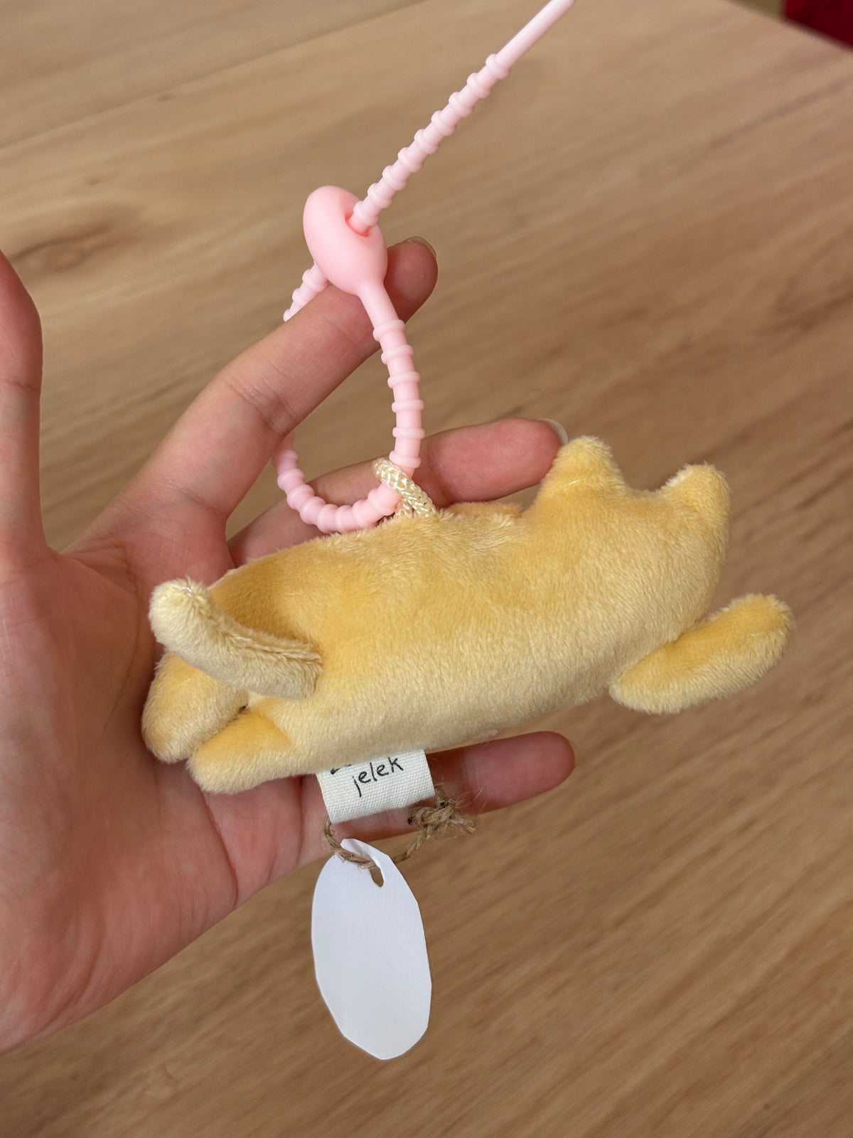 Sleepy Yellow Cat