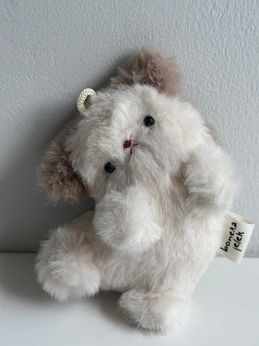 Furry Dog Shih Tzu