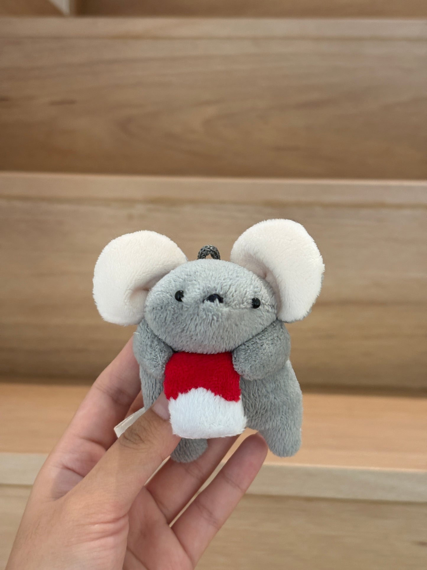 Delulu Couple Rats