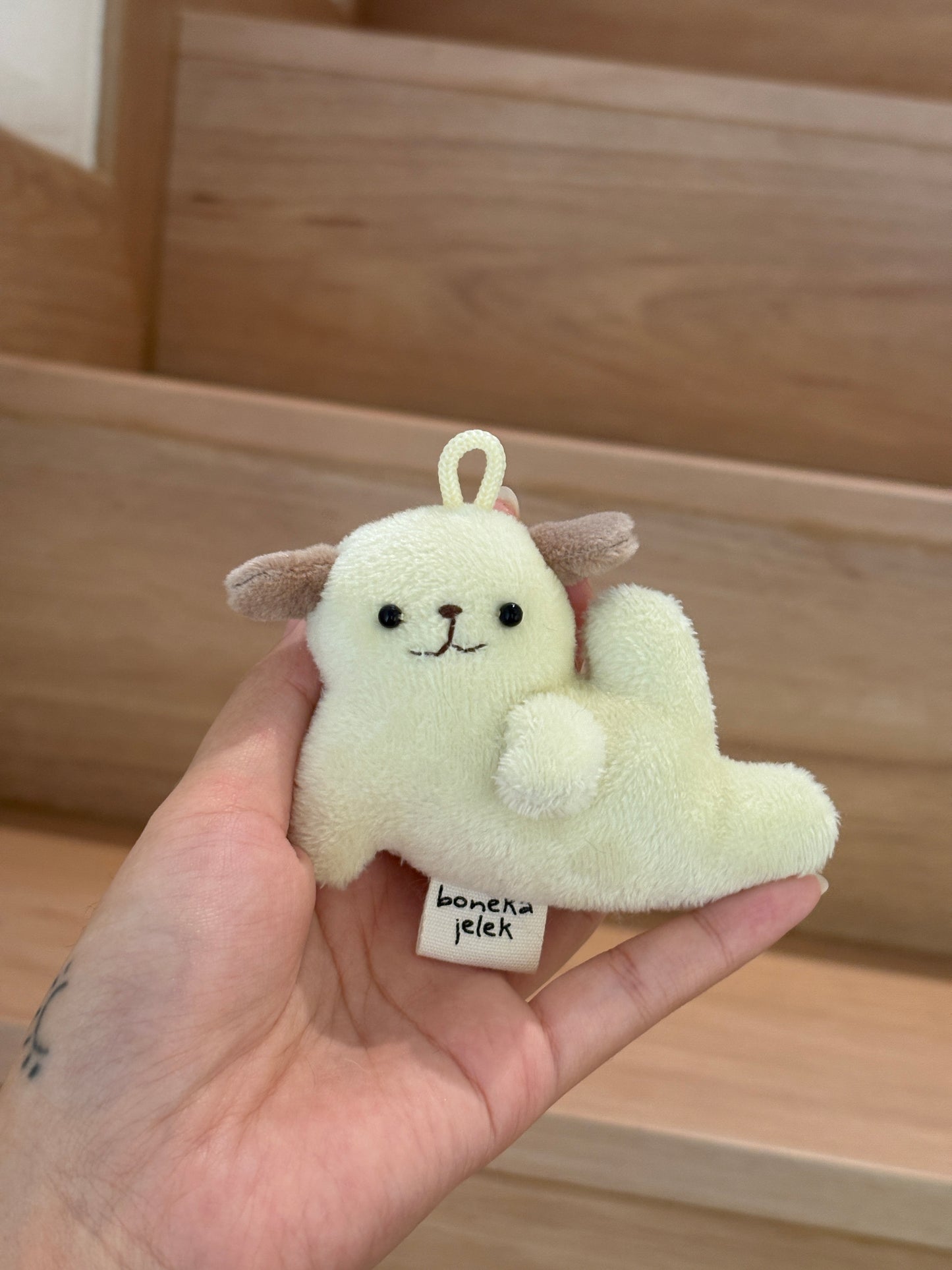 Pilates Pets