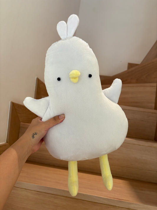 Silly Duck