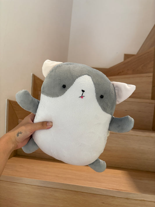 Tofu Shapped Cat