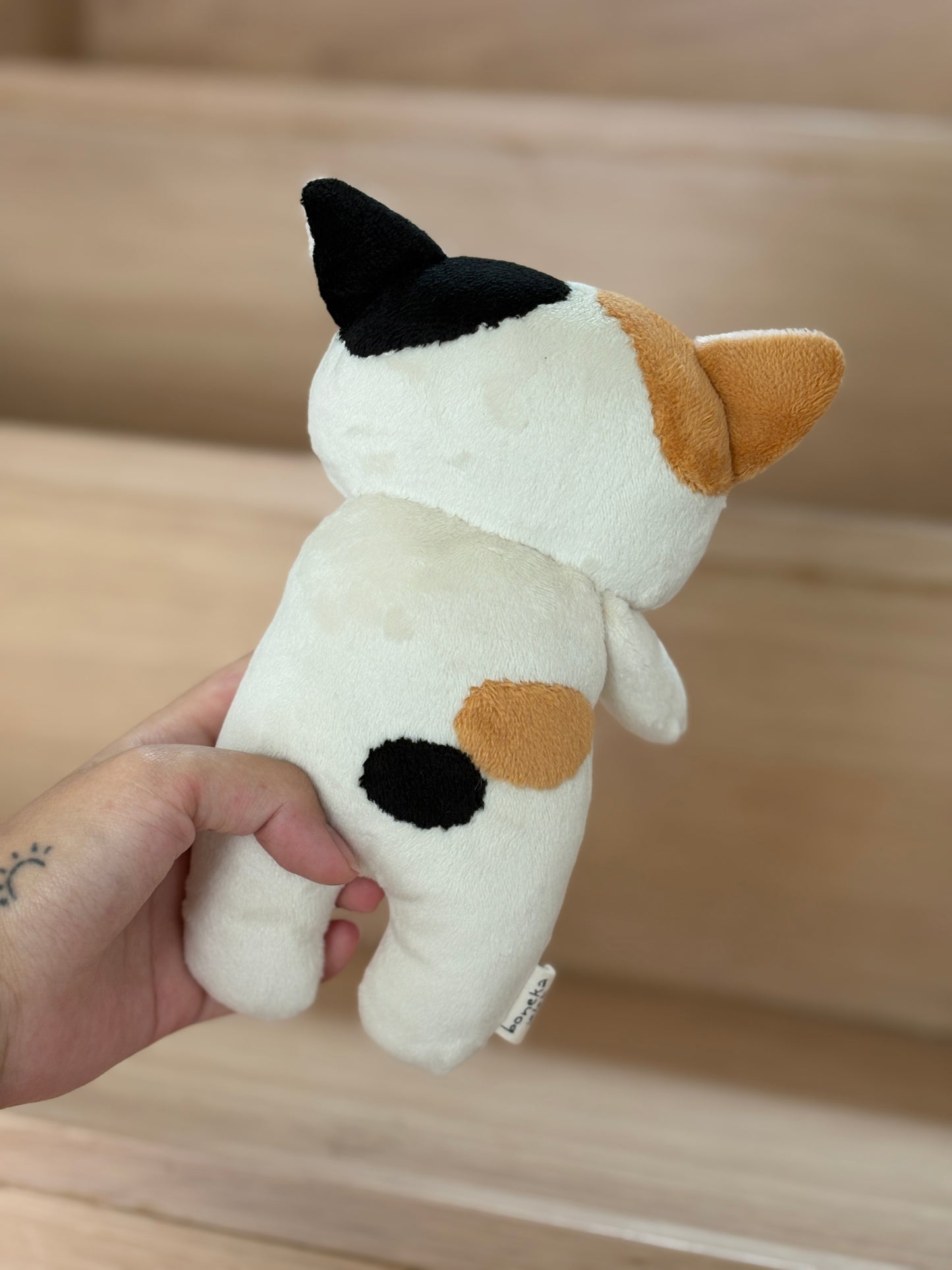 Moncha the Calico Cat