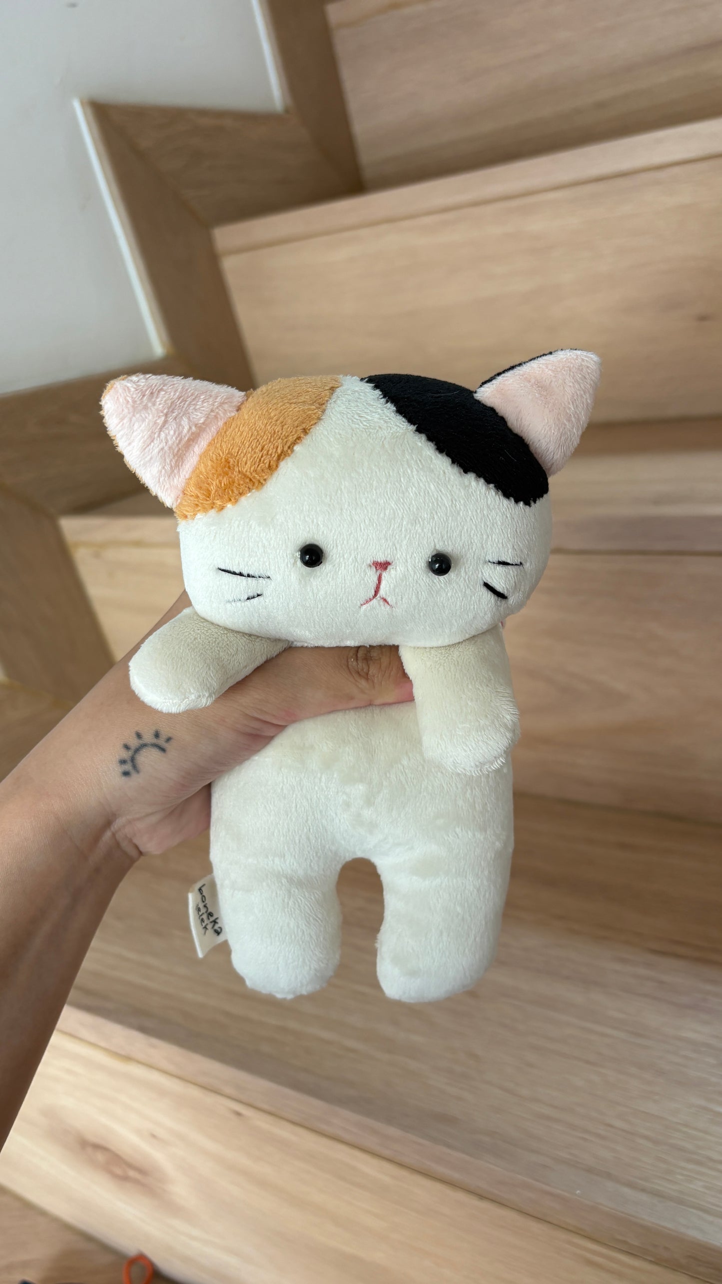 Moncha the Calico Cat