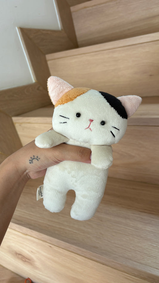 Moncha the Calico Cat