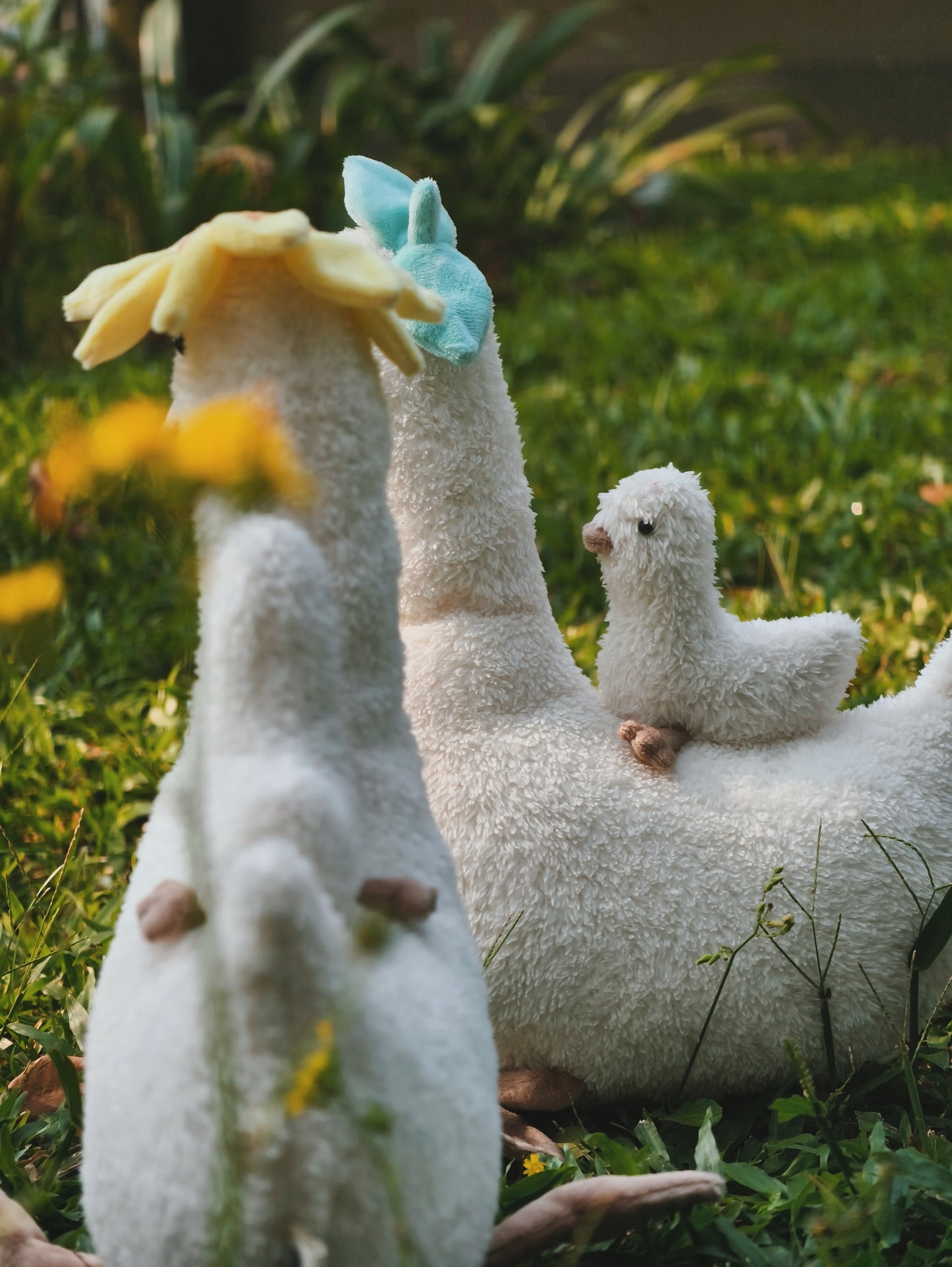 Bebek Geol (x Babeeboo)