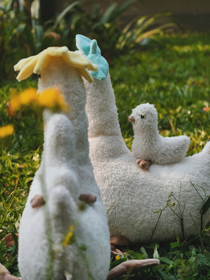 Bebek Geol (x Babeeboo)